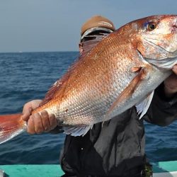 八海丸 釣果