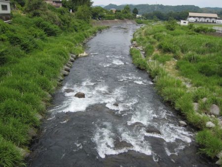 狩野川(狩野川漁業協同組合) 釣果