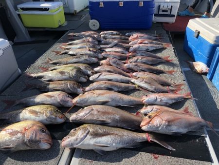 幸風（さちかぜ） 釣果