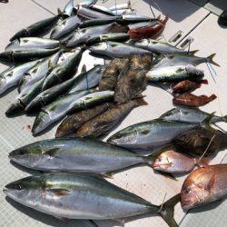 ふじしめ丸 釣果