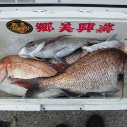 大進丸(新潟) 釣果