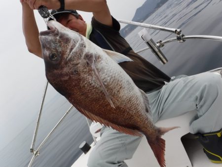 ＢｌｕｅＮｏｔｅ　Ｆｉｓｈｉｎｇ　Ｔａｘｉ…