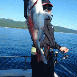 遊漁船ブルーウッズ 釣果