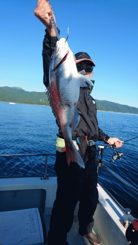 遊漁船ブルーウッズ 釣果