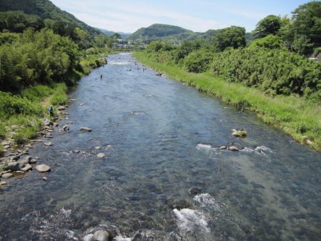 狩野川(狩野川漁業協同組合) 釣果