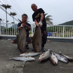 フィッシングハウス伊藤 釣果