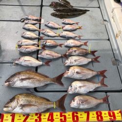 遊漁船高橋 釣果