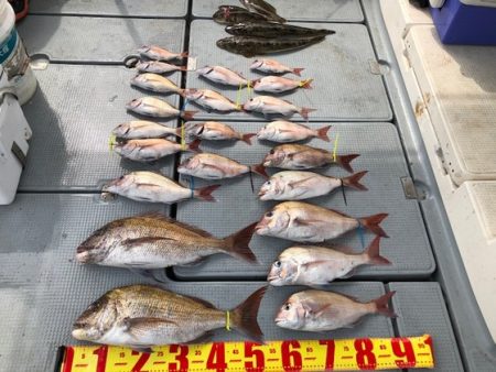 遊漁船高橋 釣果