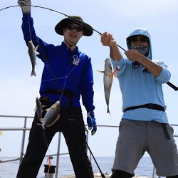 クルーズ 釣果