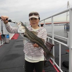 尼崎市立魚つり公園 釣果