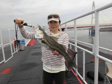 尼崎市立魚つり公園 釣果