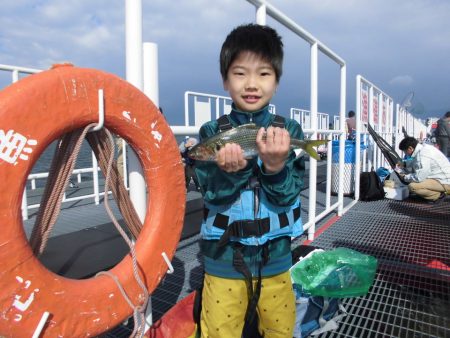 尼崎市立魚つり公園 釣果