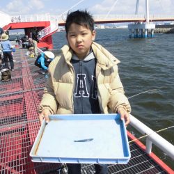 尼崎市立魚つり公園 釣果