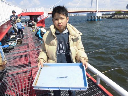 尼崎市立魚つり公園 釣果