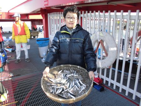 尼崎市立魚つり公園 釣果