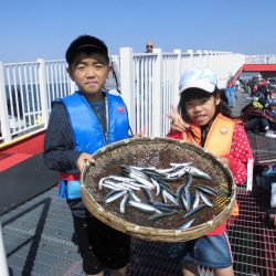 尼崎市立魚つり公園 釣果