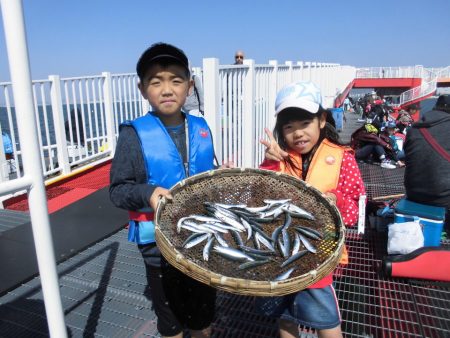 尼崎市立魚つり公園 釣果