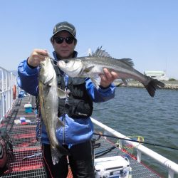 尼崎市立魚つり公園 釣果