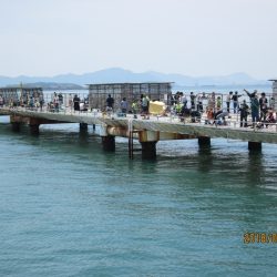 下関フィッシングパーク 釣果