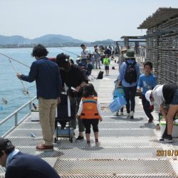 下関フィッシングパーク 釣果