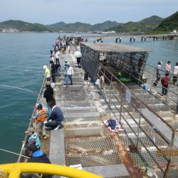 下関フィッシングパーク 釣果