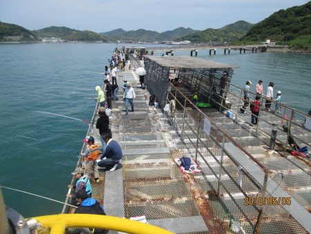 下関フィッシングパーク 釣果