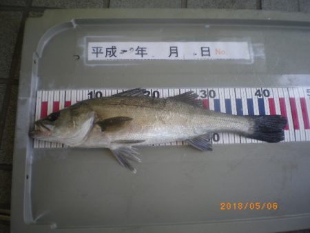 姫路市立遊魚センター 釣果