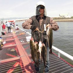 尼崎市立魚つり公園 釣果