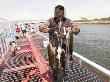 尼崎市立魚つり公園 釣果
