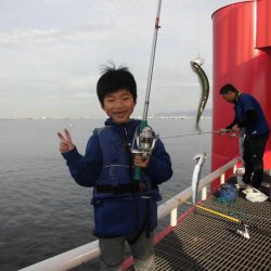 尼崎市立魚つり公園 釣果