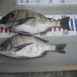 姫路市立遊魚センター 釣果