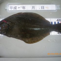 姫路市立遊魚センター 釣果