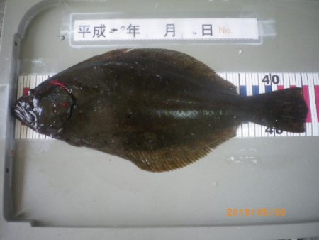 姫路市立遊魚センター 釣果