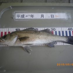 姫路市立遊魚センター 釣果