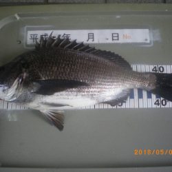 姫路市立遊魚センター 釣果