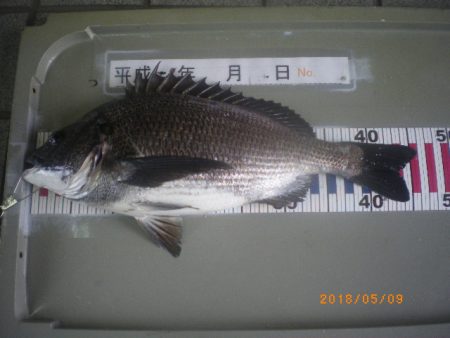 姫路市立遊魚センター 釣果