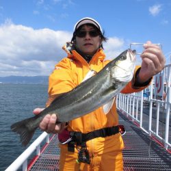 尼崎市立魚つり公園 釣果