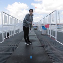 尼崎市立魚つり公園 釣果