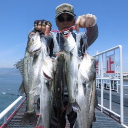 尼崎市立魚つり公園 釣果