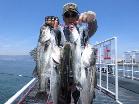 尼崎市立魚つり公園 釣果