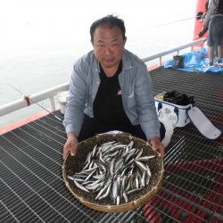 尼崎市立魚つり公園 釣果