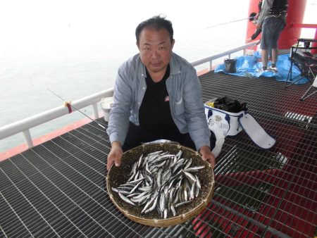 尼崎市立魚つり公園 釣果