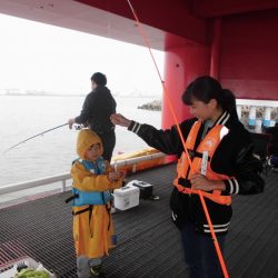 尼崎市立魚つり公園 釣果