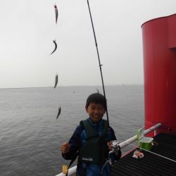 尼崎市立魚つり公園 釣果