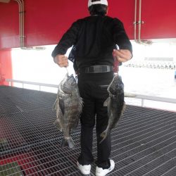 尼崎市立魚つり公園 釣果