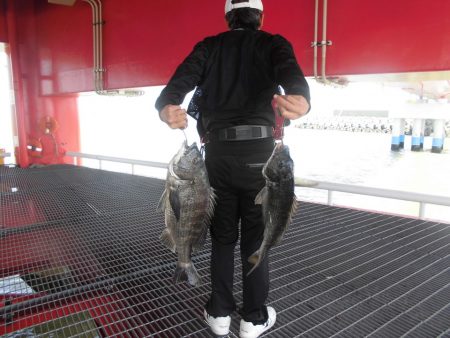 尼崎市立魚つり公園 釣果