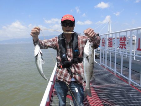 尼崎市立魚つり公園 釣果