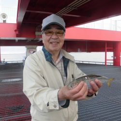 尼崎市立魚つり公園 釣果