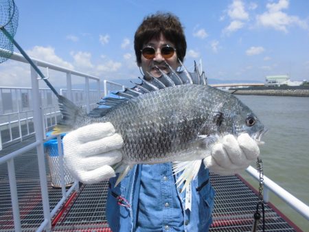 尼崎市立魚つり公園 釣果