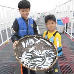 尼崎市立魚つり公園 釣果